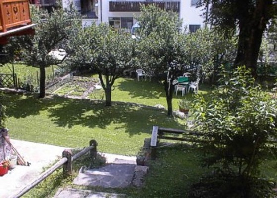 Photo of the garden Moena