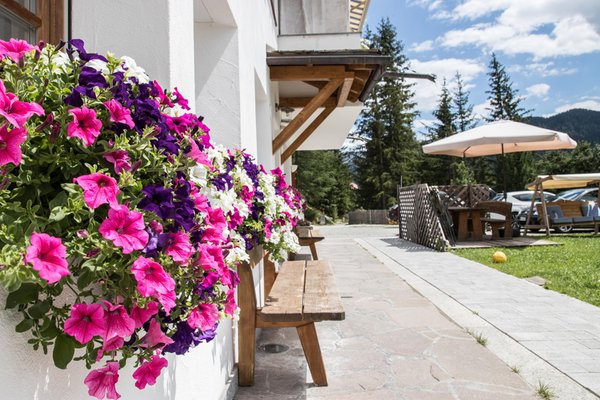 Foto Außenansicht Apartments Ciasa Eghes