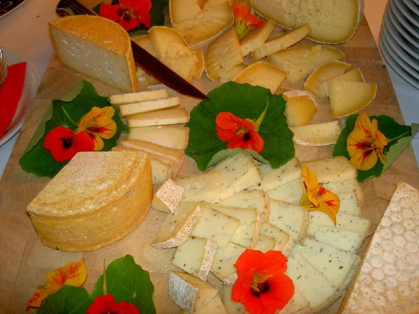Ricette e proposte gourmet Steinhauswirt