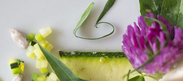 Ricette e proposte gourmet Arcana