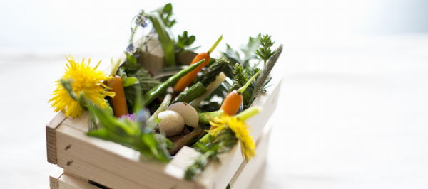 Ricette e proposte gourmet Arcana
