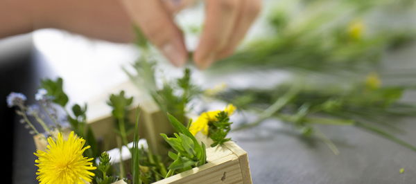 Ricette e proposte gourmet Arcana