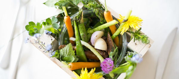 Ricette e proposte gourmet Arcana