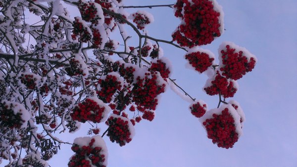 Gallery inverno