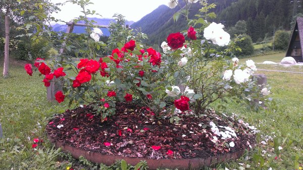 Foto del giardino Selva dei Molini
