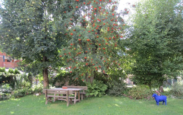 Photo of the garden Moena