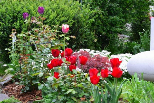 Foto del giardino Valdaora di Sotto (Valdaora)
