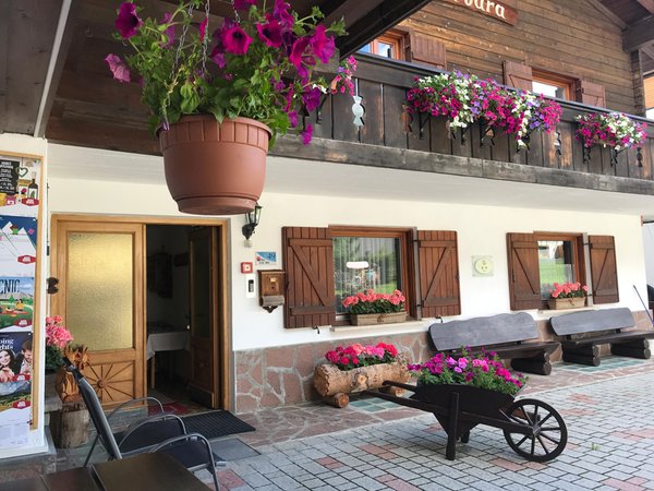Foto Außenansicht im Sommer La Vara