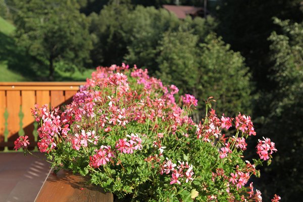 Photo of the balcony Villa Otto