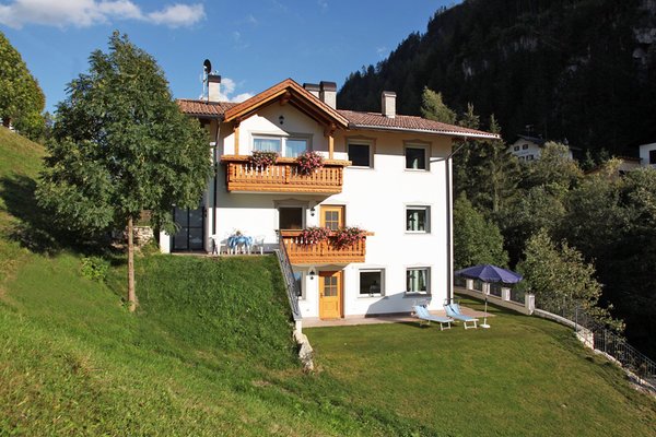 Photo exteriors in summer Villa Otto
