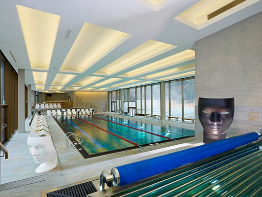 La piscina Cascade - Piscina e Wellness