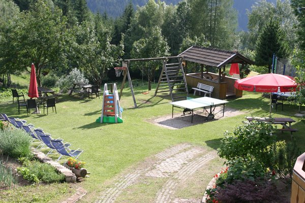 Photo of the garden Bellamonte