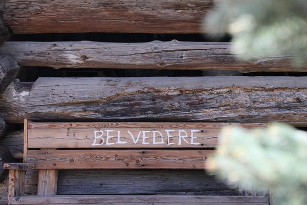 Foto di alcuni dettagli Belvedere
