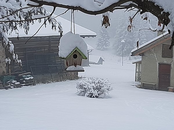 Foto esterno in inverno Belvedere