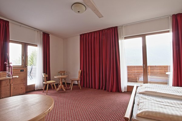 Photo of the room Hotel Olimpionico