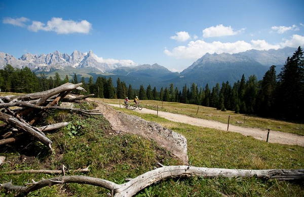 Attività Rosengarten