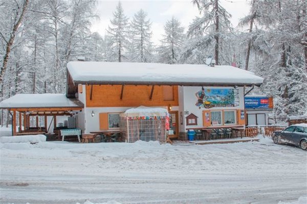 Foto esterno in inverno Pineta