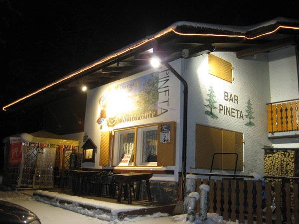 Foto esterno in inverno Pineta