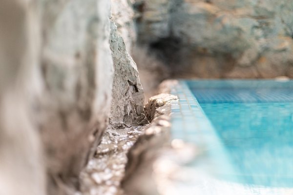 Photo of the indoor swimming pool