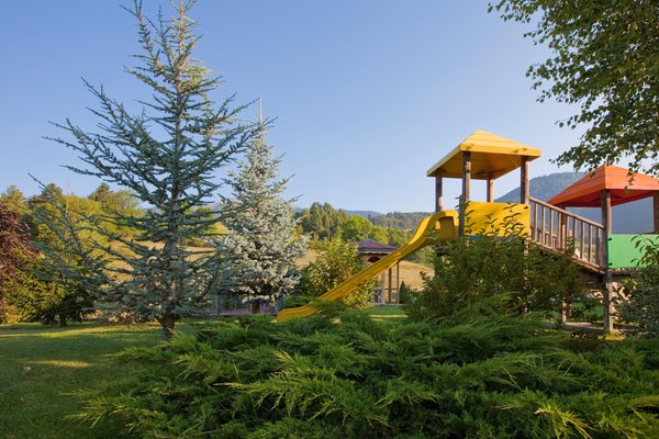 Photo of the garden Cavalese
