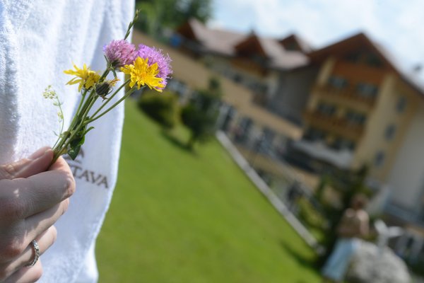 Photo of some details Rio Stava Family Resort & Spa
