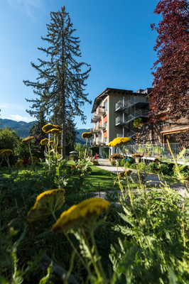 Foto esterno Park Hotel Azalea