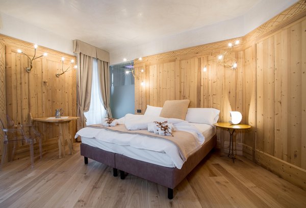 Photo of the room Hotel Orso Grigio