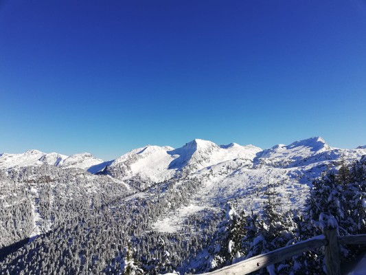 Panoramic view Cavalese