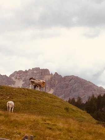 Panorama Cavalese