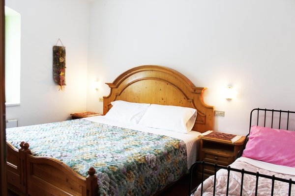Photo of the room Hotel Stella