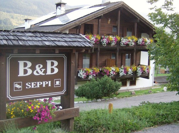Foto esterno in estate Seppi