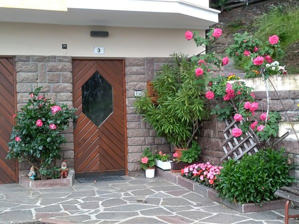 L'ingresso