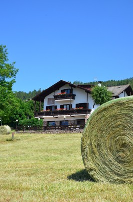 Photo exteriors B&B (Garni)-Hotel Edy