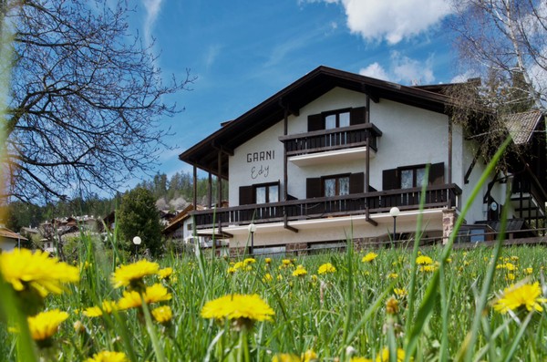 Photo exteriors B&B (Garni)-Hotel Edy