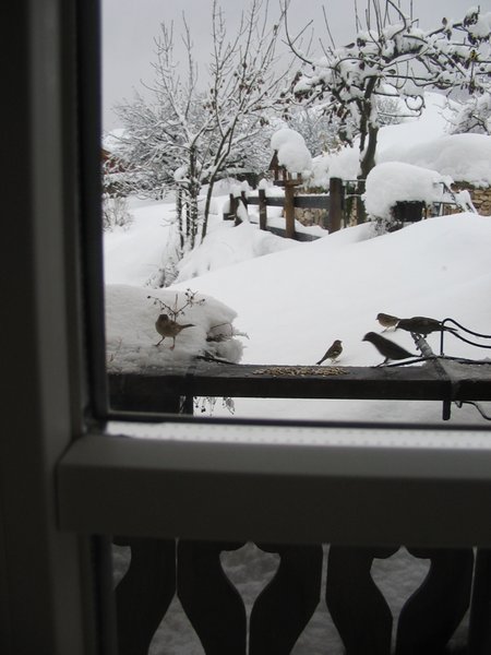 Foto di alcuni dettagli La casa delle bambole