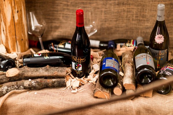 Wine cellar Predazzo Ancora