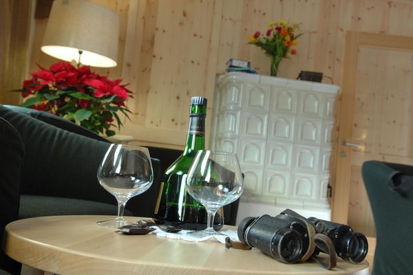 Photo of the stube Hotel Cimon Dolomites