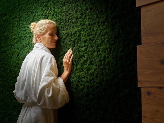 Foto del wellness Hotel Shandranj