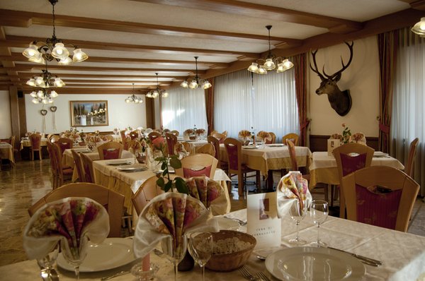 The restaurant Tesero Al Cervo - Dolomites Experience