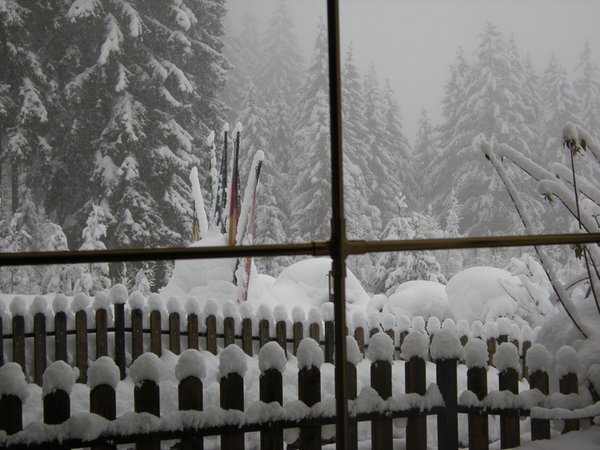 Panoramic view Tesero