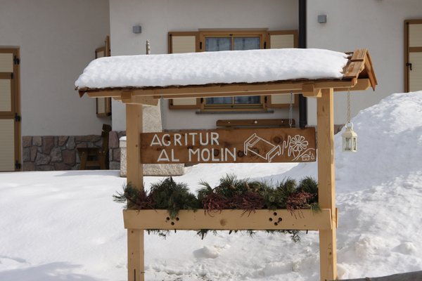 Foto esterno in inverno Al Molin