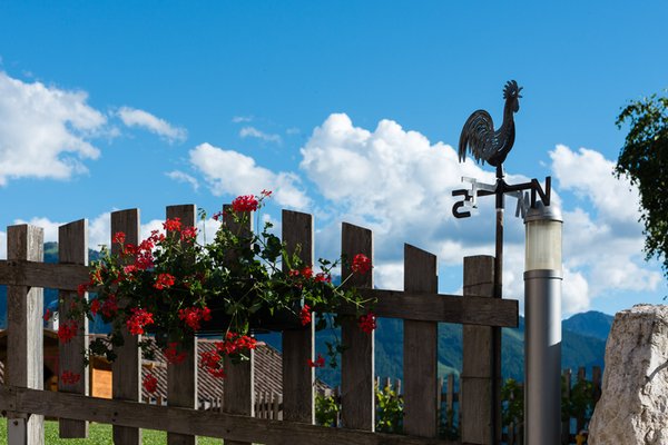 Photo of the garden Tesero