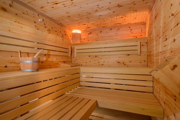Photo of the sauna Tesero