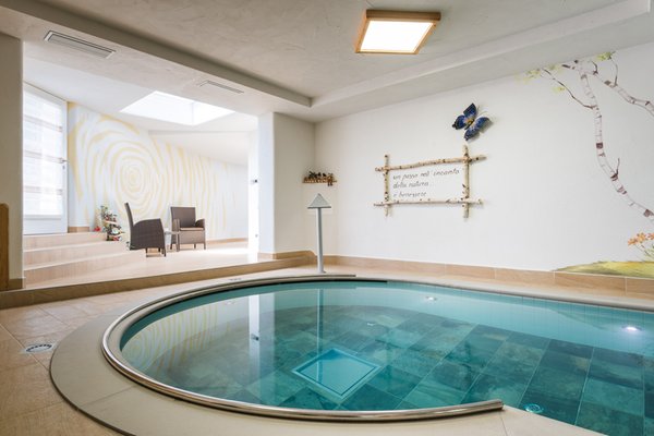Swimming pool FORESTO - holiday apartments