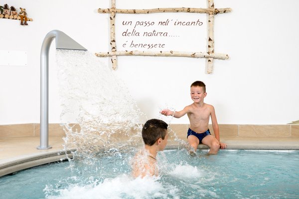 Swimming pool FORESTO - holiday apartments