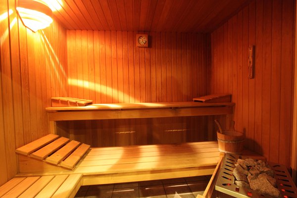 Foto della sauna Tesero
