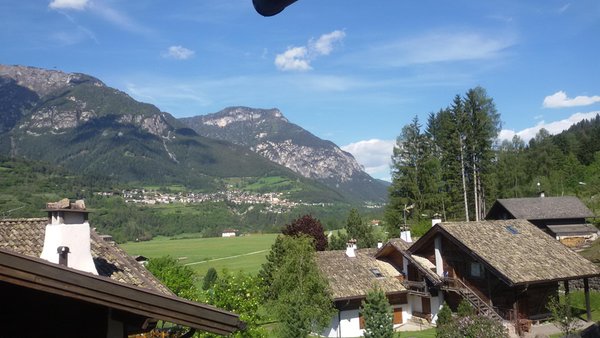 Panorama Masi di Cavalese