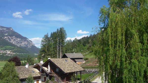 Panorama Masi di Cavalese