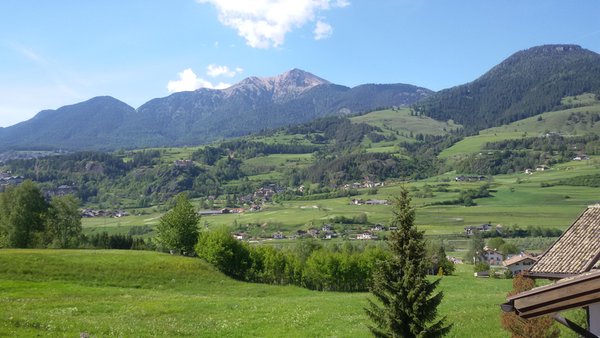 Panorama Masi di Cavalese