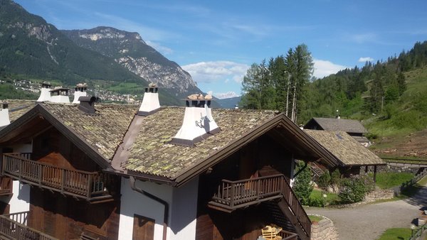 Panorama Masi di Cavalese